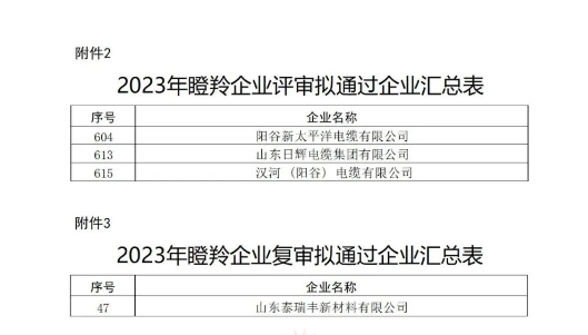 山东省工业和信息化厅在本次认定工作中严格按照相关文件规定的程序和标准进行评选，充分尊重市场主体自愿申报的原则，注重专家评审和第三方信用评级的公正性与权威性，确保了认定结果的准确性和公信力。