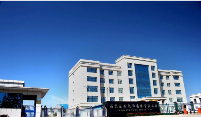 汤阴永新化学有限责任公司，成立于1986年，总部位于河南省汤阴高新技术产业开发区，地处精忠路与兴隆路交叉口。多年来，该公司一直致力于橡胶防焦剂CTP的研发、制造和销售，成为国内领先的橡胶助剂企业之一。