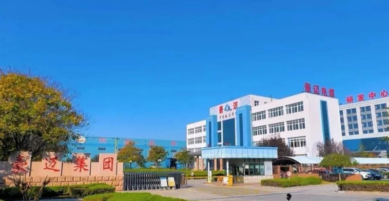 通过现场核查及资料审核，专家组认为，豪迈电缆的企业主体资格符合要求，质量管理体系健全且运行正常，生产设备完善，检验仪器齐全，技术力量能够满足生产需要，检验人员操作熟练。综合以上因素，专家组一致认定豪迈电缆通过矿用产品安全标志评审。