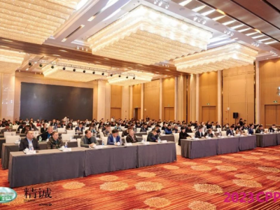 中国塑协板片材专业委员会2023年年会：创新引领行业未来