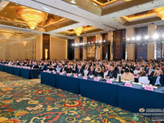 第十九届中国橡胶年会召开，行业领袖齐聚青岛共话未来