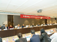 中国涂料工业协会联合地方协会共商发展