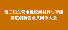 第三届东营市橡胶新材料与智能制造创新创业共同体大会
