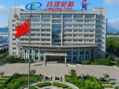 玲珑集团总裁王琳详述：企业如何应对全球挑战与机遇
