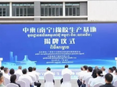 79 天见证 “南宁速度”！中柬（南宁）橡胶生产基地揭牌