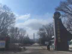 2.82 亿起拍！老牌氯丁橡胶巨头资产打包待售