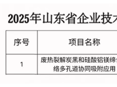 东岳轮胎创新项目入选省级计划