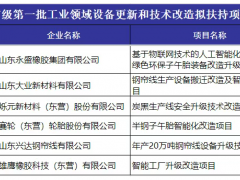 东营22个工业技改项目获扶持，轮胎业成亮点