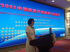 2025炭黑行业技术论坛会议圆满召开