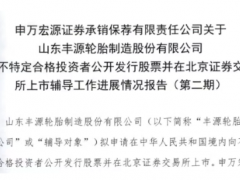 丰源轮胎上市辅导获进展 股权冻结问题待解