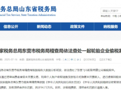 东营飞马轮胎再触红线 偷税及多项违规行为遭严惩