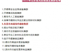 东营橡胶集群，入选省先进制造业集群