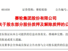 袁仲雪质押8000万股用于偿还债务